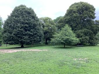 Enlarge photo 78