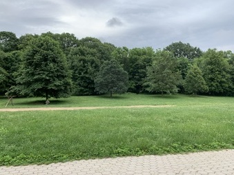 Enlarge photo 43