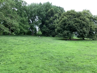 Enlarge photo 73