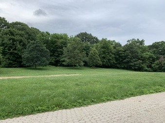 Enlarge photo 42