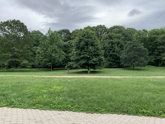 Enlarge photo 45