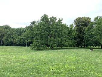 Enlarge photo 25