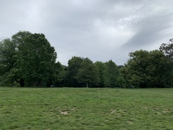 Enlarge photo 55