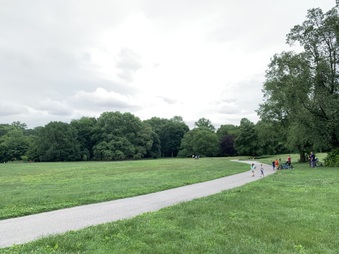 Enlarge photo 23