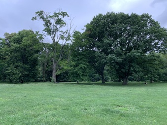 Enlarge photo 29