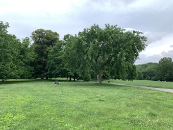 Enlarge photo 11