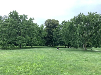Enlarge photo 12