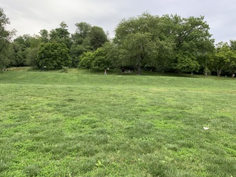 Enlarge photo 86