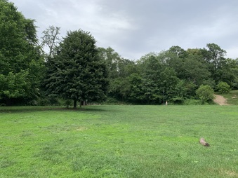 Enlarge photo 104