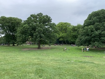 Enlarge photo 58
