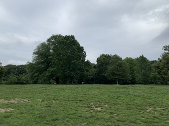 Enlarge photo 54
