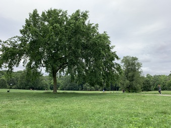 Enlarge photo 3