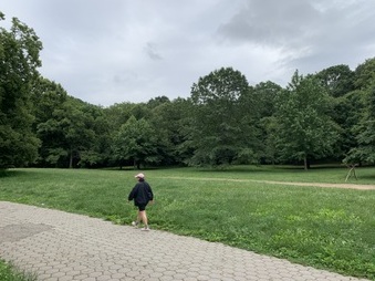 Enlarge photo 47