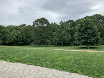 Enlarge photo 46