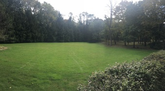 Enlarge photo 10