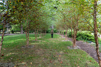 Enlarge photo 20