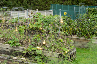 Enlarge photo 37