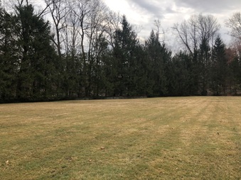 Enlarge photo 30