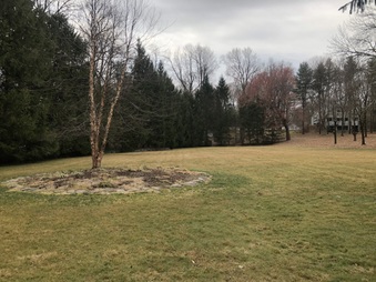 Enlarge photo 27