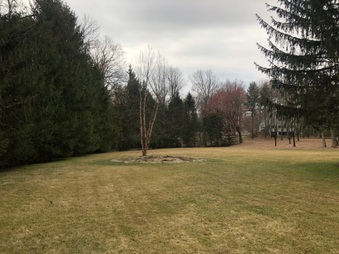 Enlarge photo 25