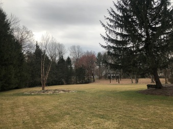 Enlarge photo 23