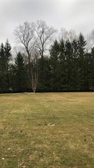 40 carteret Road EXTERIORS 3/12
