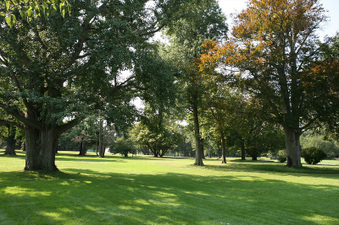 Enlarge photo 48