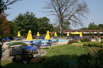 Enlarge photo 55