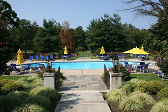 Enlarge photo 56