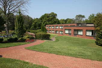 Enlarge photo 57