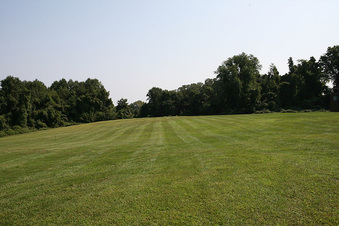 Enlarge photo 60