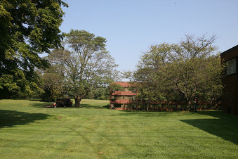 Enlarge photo 63
