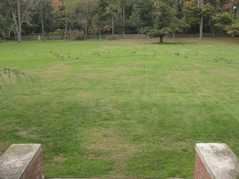 Enlarge photo 34