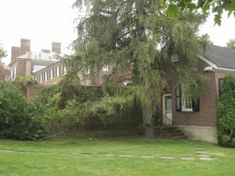 Enlarge photo 39