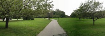 Enlarge photo 10