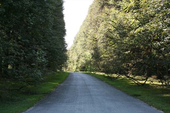 Enlarge photo 3