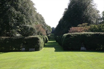 Enlarge photo 41