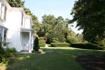 Enlarge photo 79