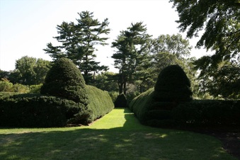 Enlarge photo 80