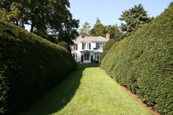 Enlarge photo 81