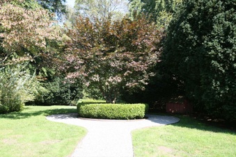 Enlarge photo 83