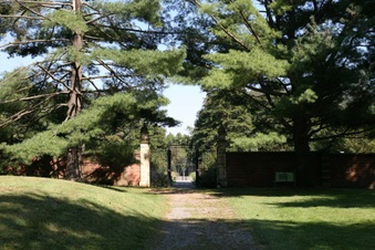Enlarge photo 93
