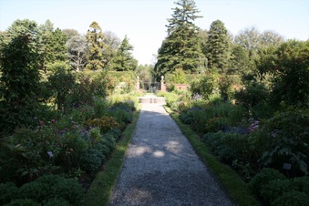 Enlarge photo 95