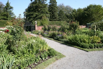 Enlarge photo 97