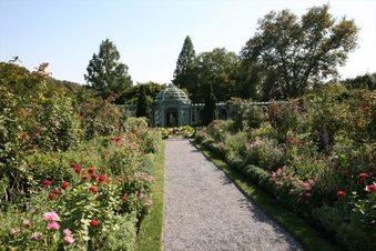Enlarge photo 98