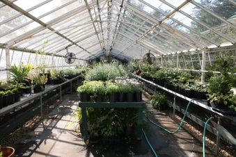 Enlarge photo 106