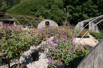Enlarge photo 107