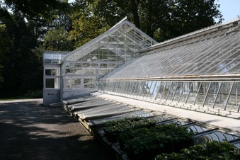 Enlarge photo 110