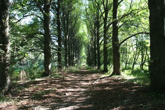 Enlarge photo 118