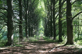 Enlarge photo 119